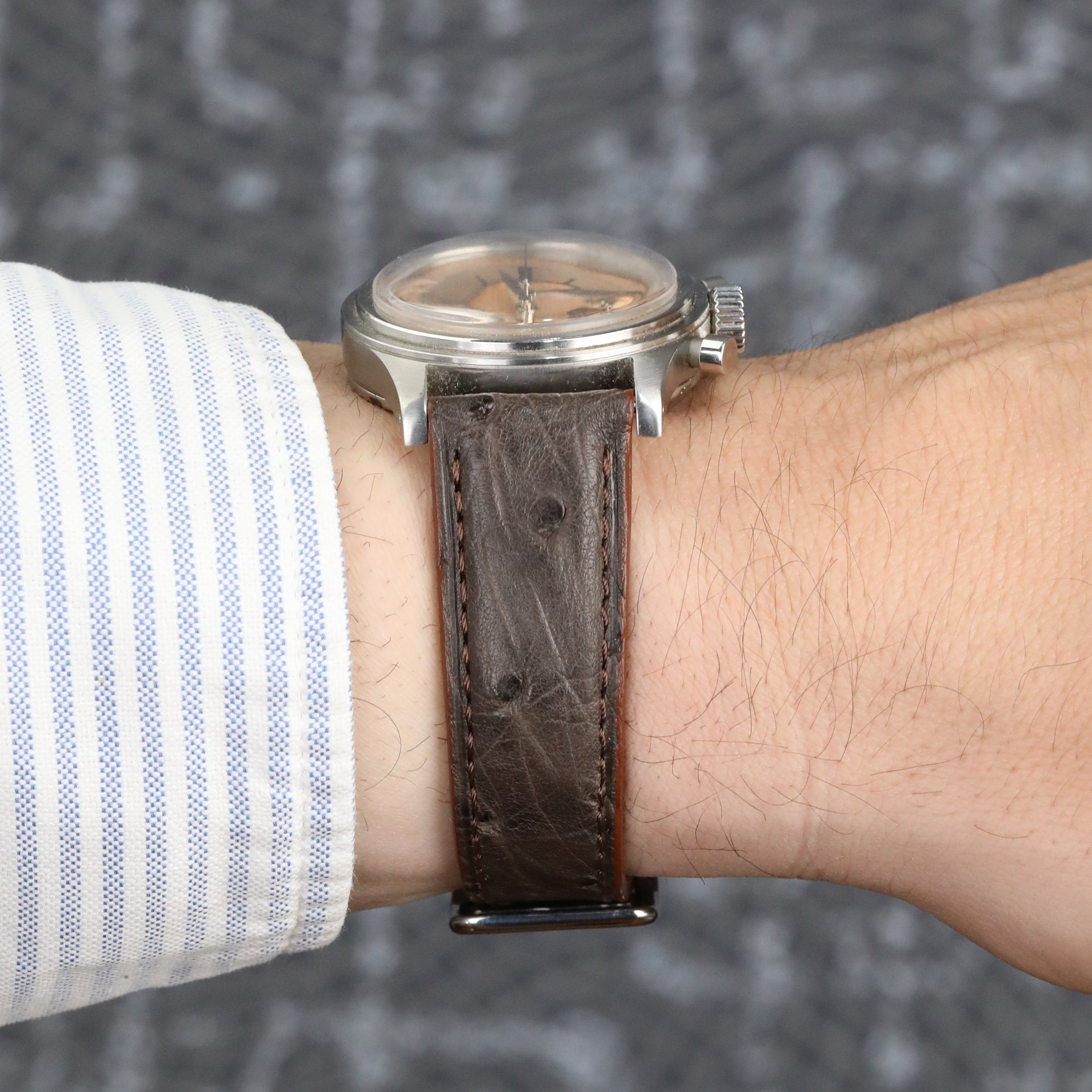 Ostrich Leather Strap - Brown