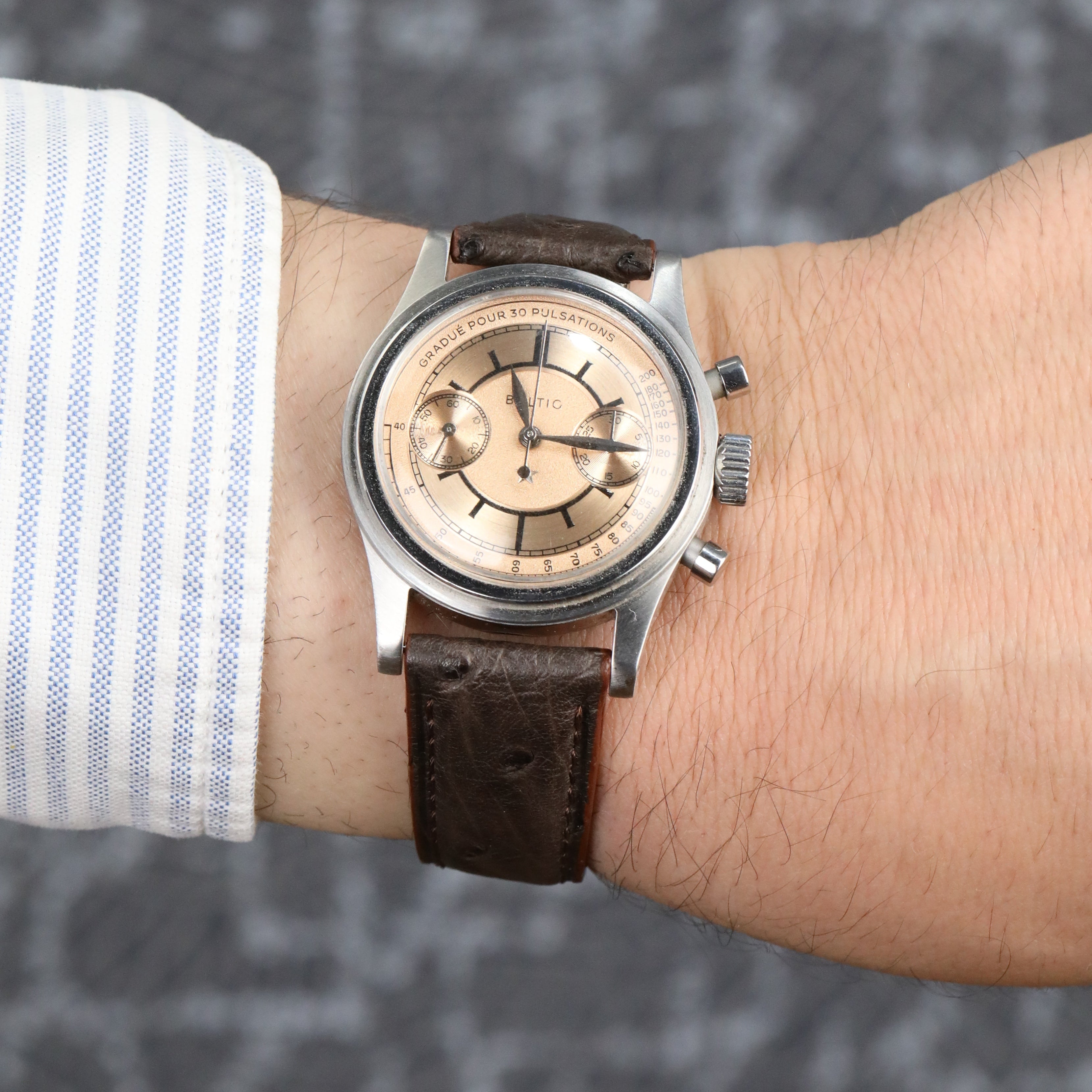 Ostrich Leather Strap - Brown